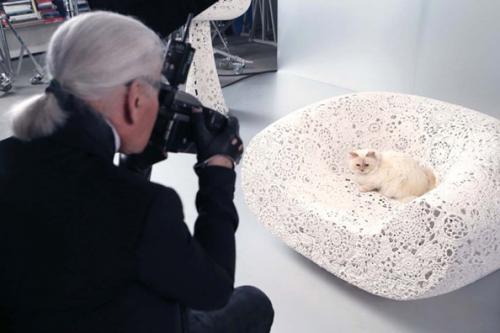 Choupette, Kucing Karl Lagerfeld